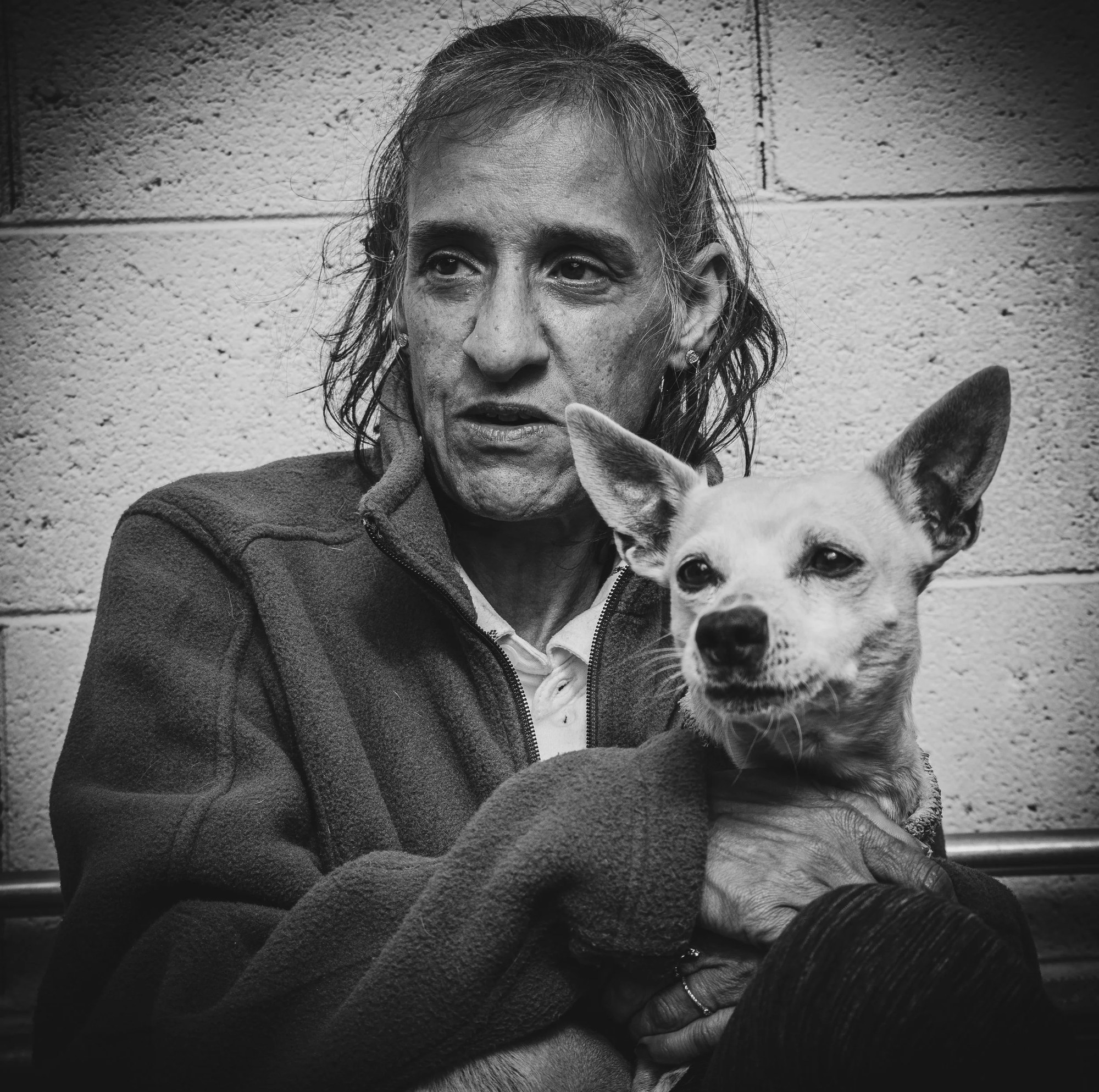 Andre House guest with a dog