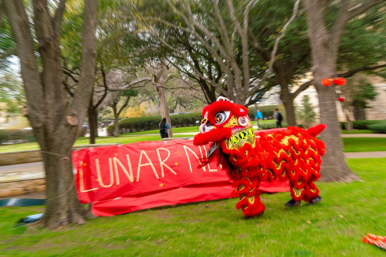 Lion dance, motion