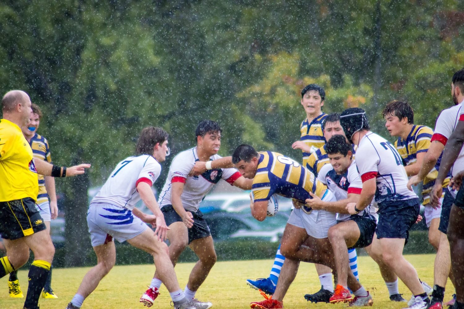Sport photograph