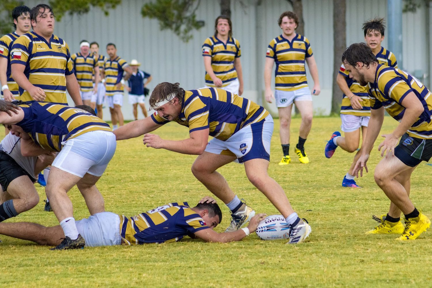Sport photograph